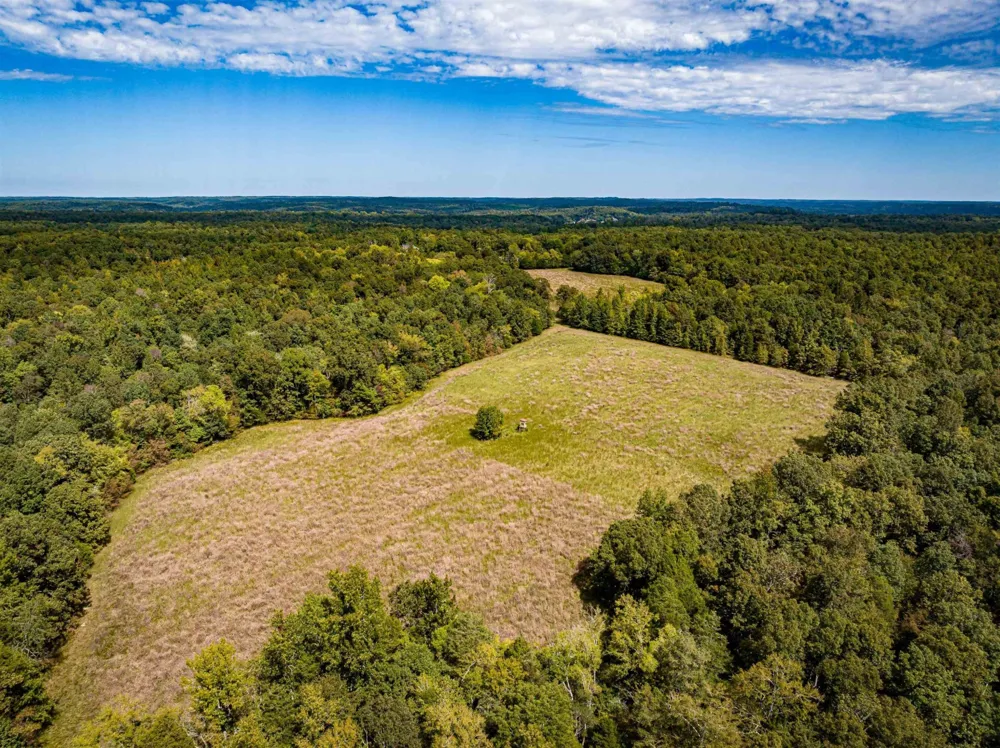2642 Brodies Landing Rd Parsons, TN 38363