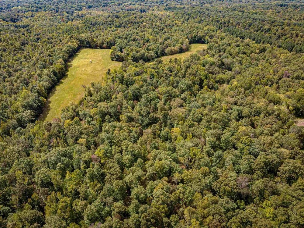 2642 Brodies Landing Rd Parsons, TN 38363