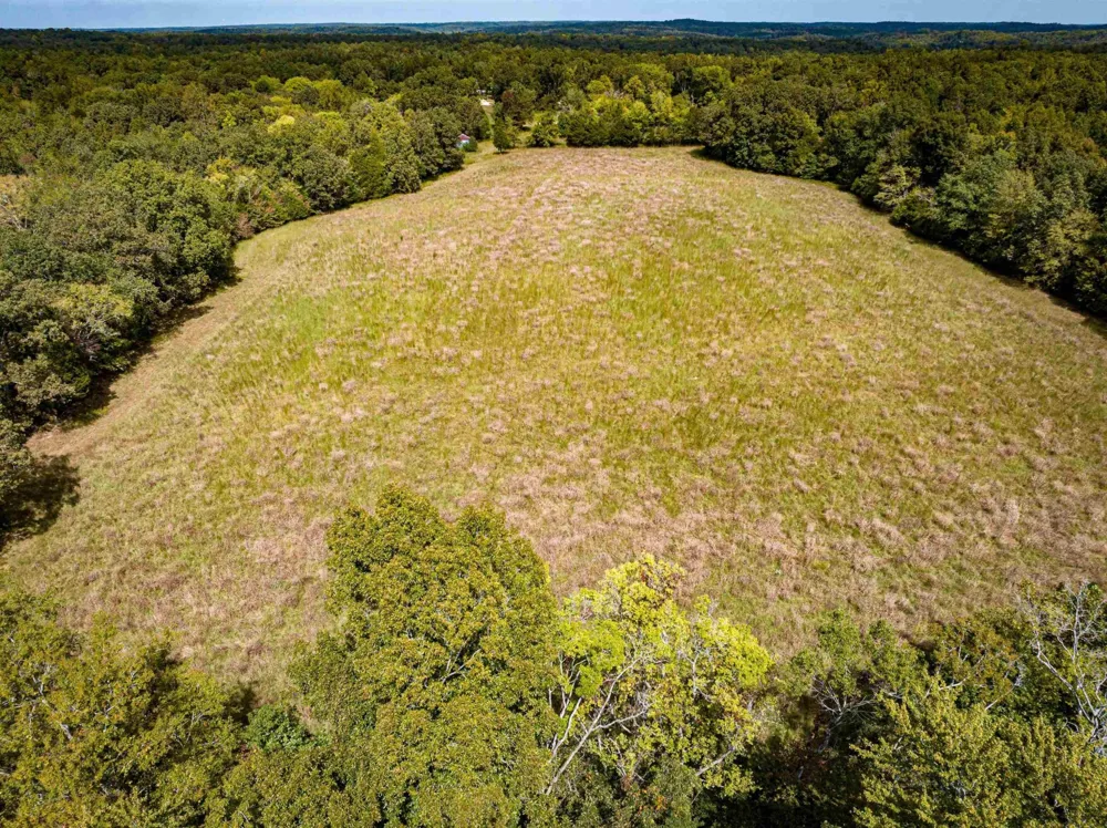 2642 Brodies Landing Rd Parsons, TN 38363