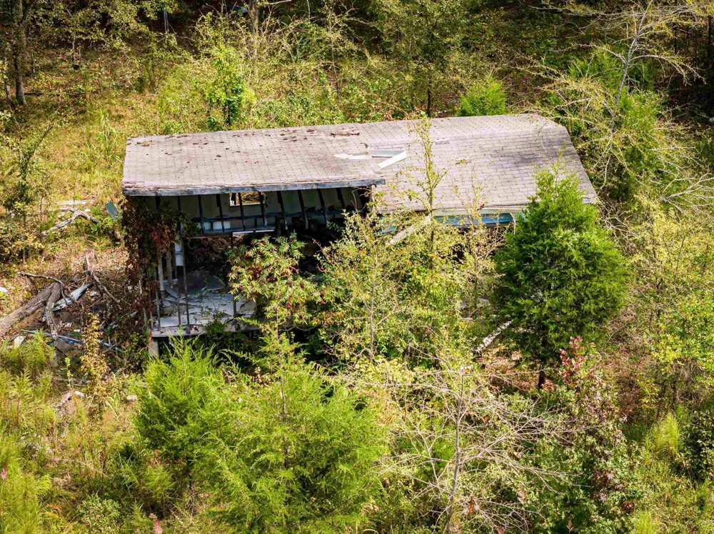 2642 Brodies Landing Rd Parsons, TN 38363