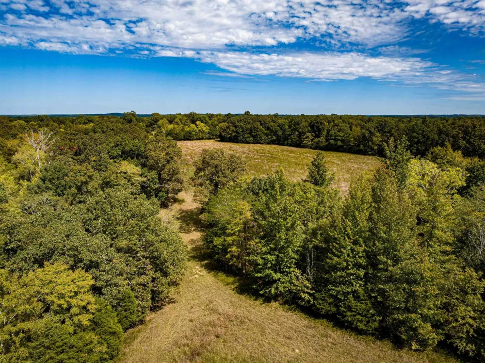 2642 Brodies Landing Rd Parsons, TN 38363