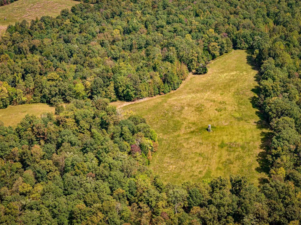2642 Brodies Landing Rd Parsons, TN 38363