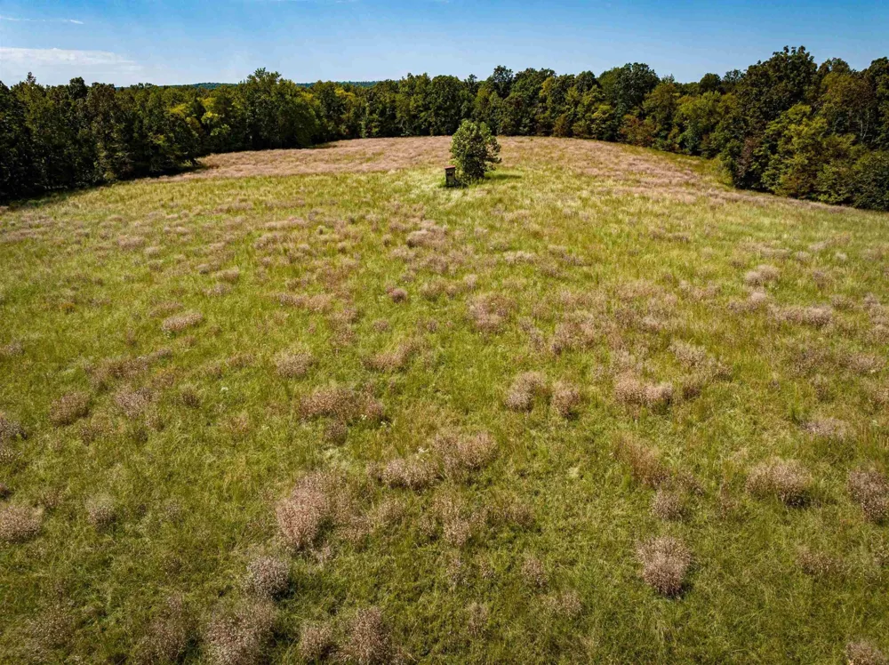 2642 Brodies Landing Rd Parsons, TN 38363