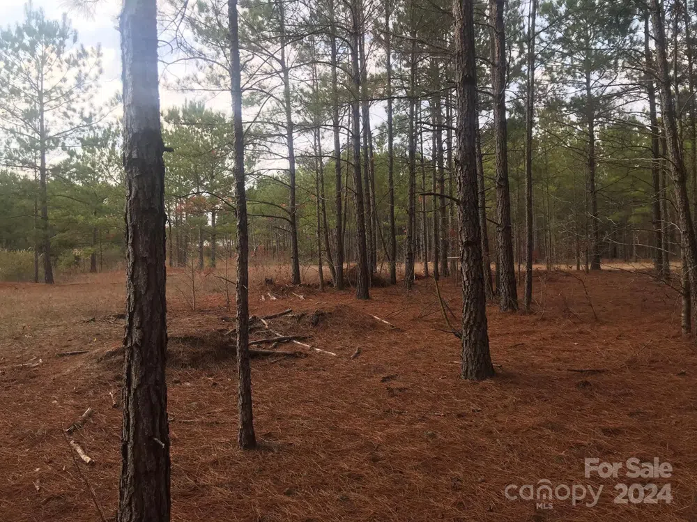 1824 Germantown Place Dillon, SC 29536