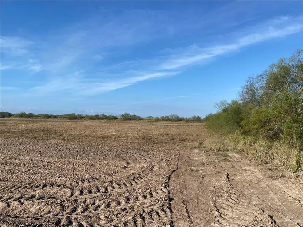 9.85 AC Coolidge Street Hargill, TX 78549
