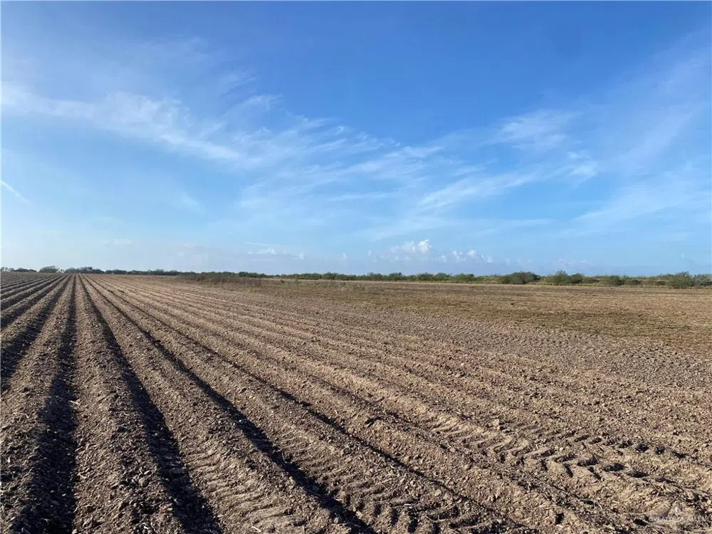 9.85 AC Coolidge Street Hargill, TX 78549