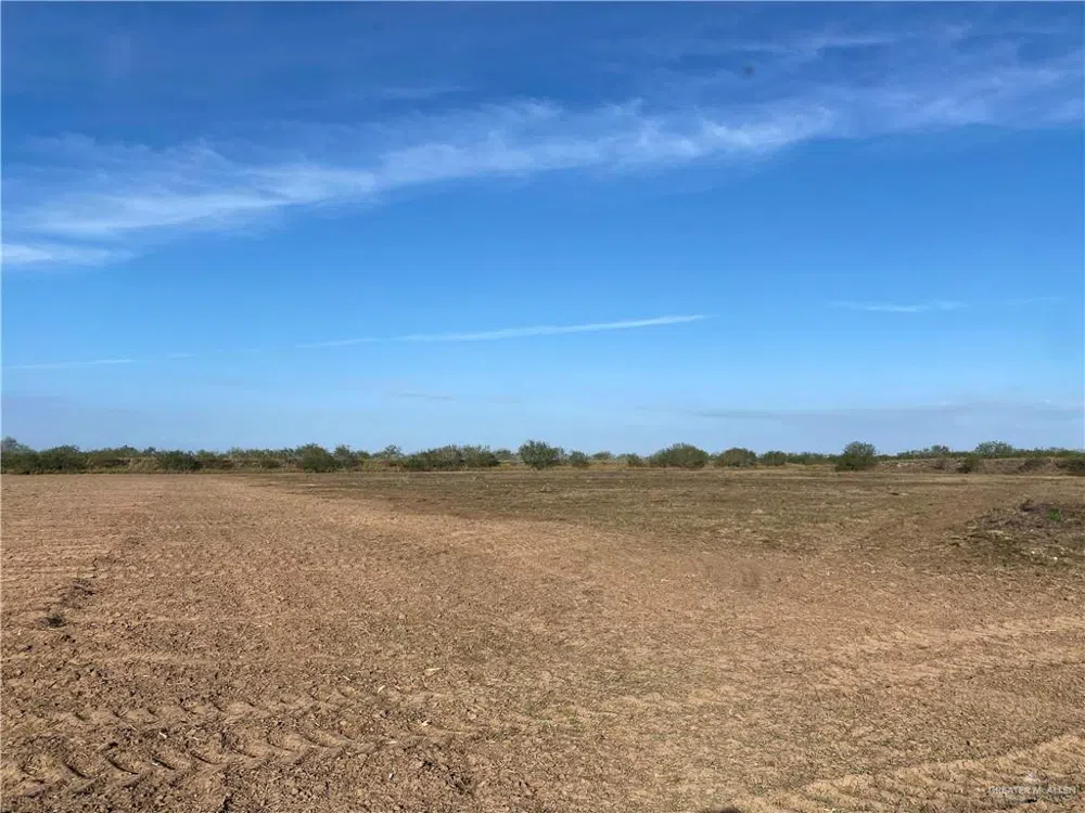 9.85 AC Coolidge Street Hargill, TX 78549