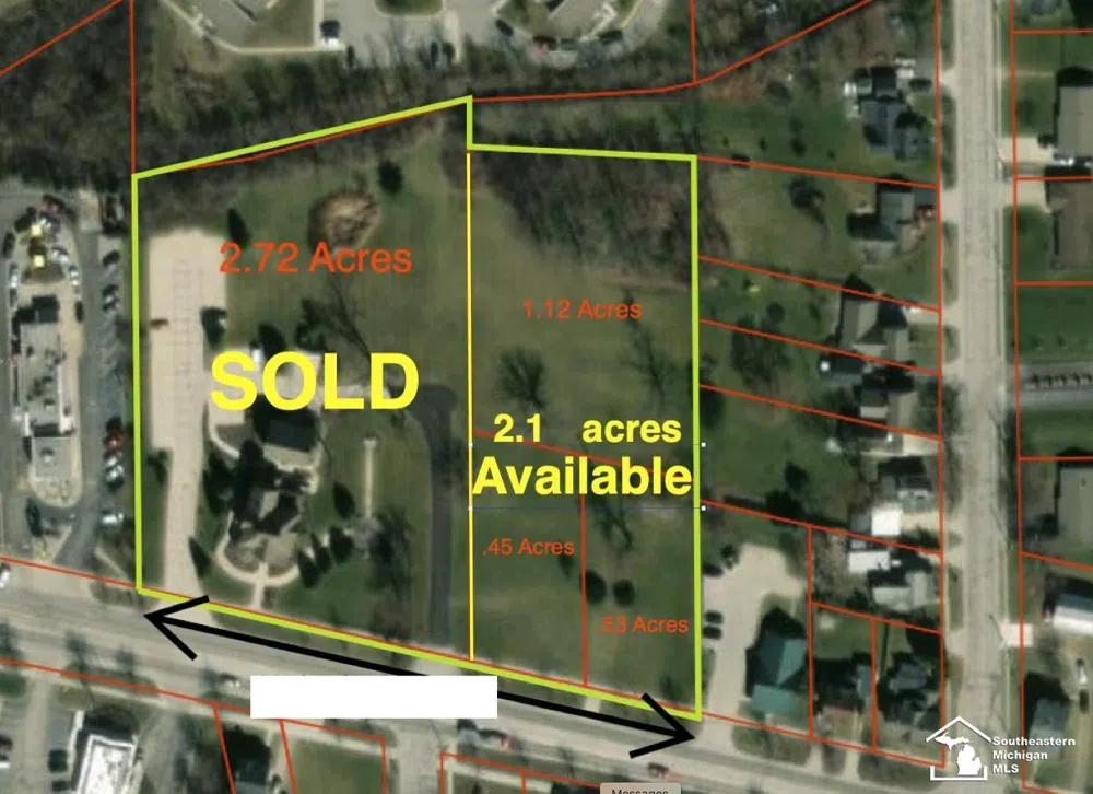 454 Tecumseh Street Dundee Village, MI 48131