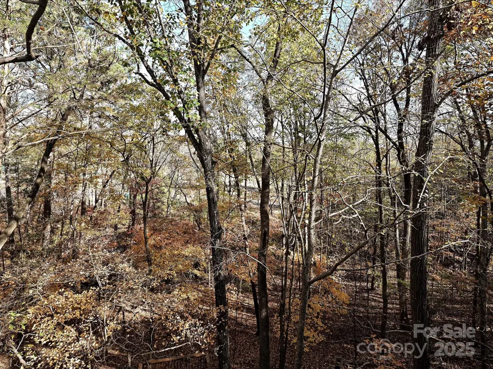 25040 Timberlake Drive Tega Cay, SC 29708