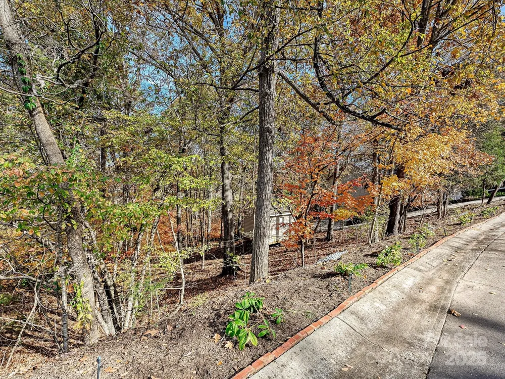 25040 Timberlake Drive Tega Cay, SC 29708
