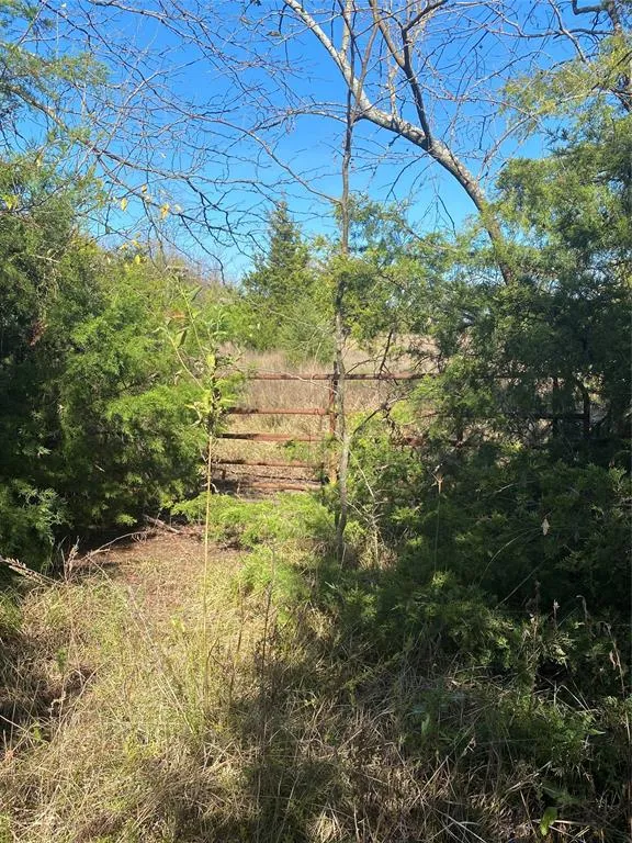 1604 CR 3365 Ladonia, TX 75449