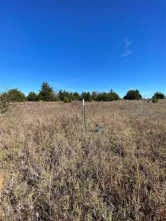 1604 CR 3365 Ladonia, TX 75449