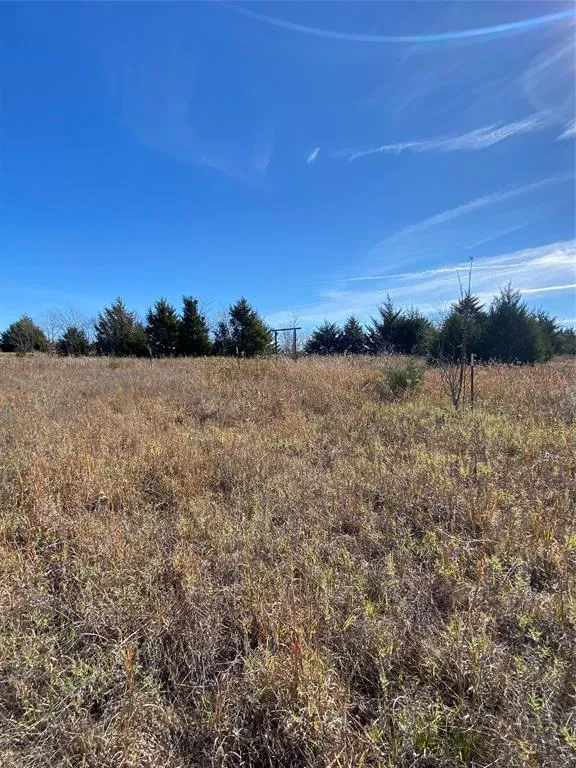 1604 CR 3365 Ladonia, TX 75449