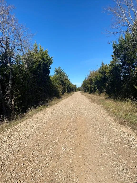 1604 CR 3365 Ladonia, TX 75449