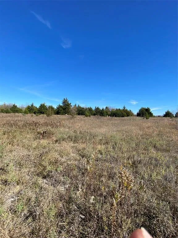 1604 CR 3365 Ladonia, TX 75449