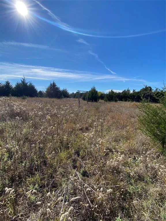 1604 CR 3365 Ladonia, TX 75449
