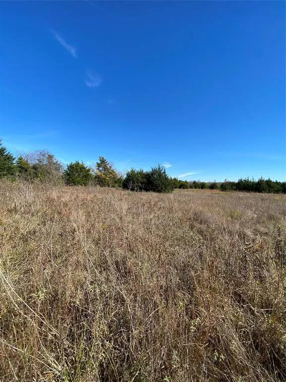 1604 CR 3365 Ladonia, TX 75449