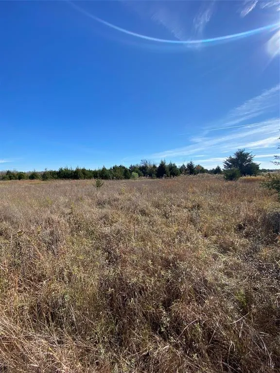 1604 CR 3365 Ladonia, TX 75449