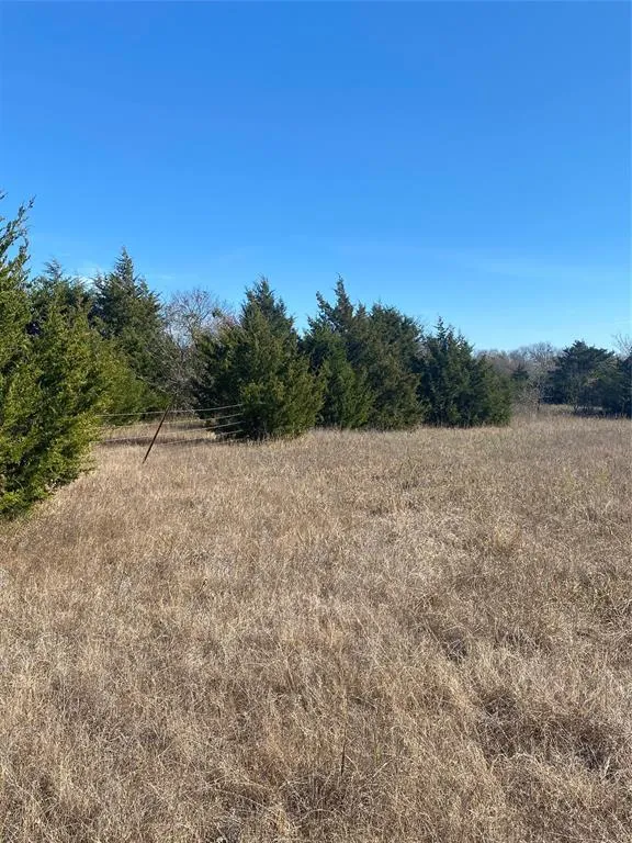 1604 CR 3365 Ladonia, TX 75449