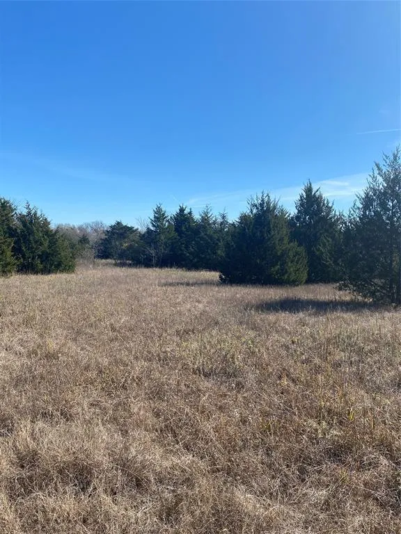 1604 CR 3365 Ladonia, TX 75449