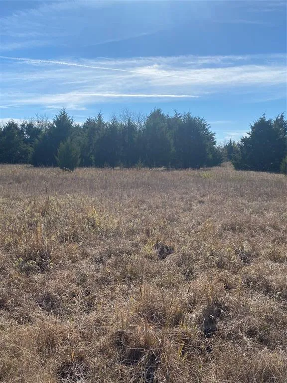 1604 CR 3365 Ladonia, TX 75449
