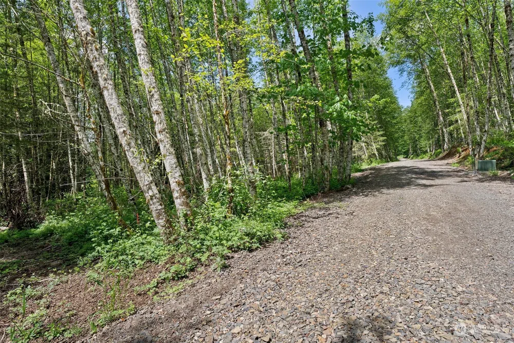178 Owl Creek Lane Morton, WA 98356
