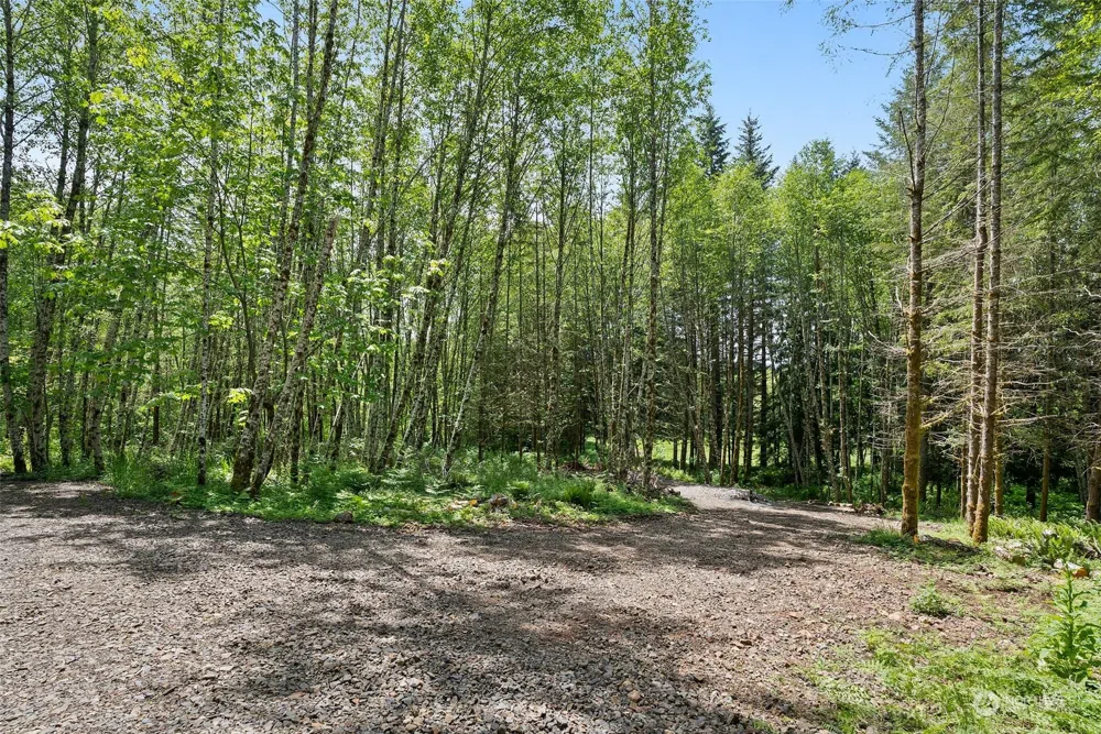 178 Owl Creek Lane Morton, WA 98356