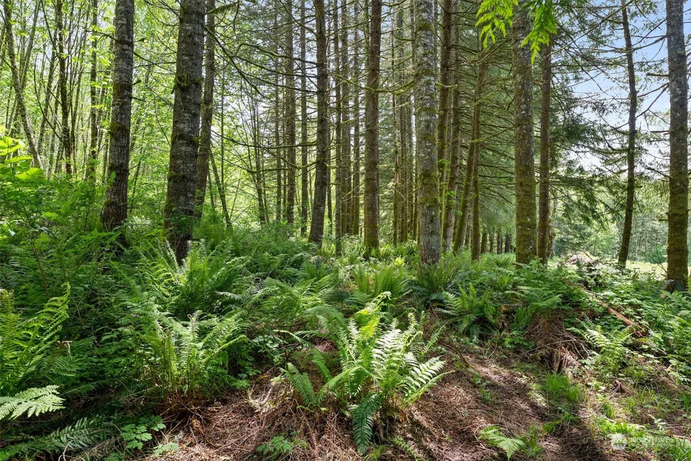 178 Owl Creek Lane Morton, WA 98356