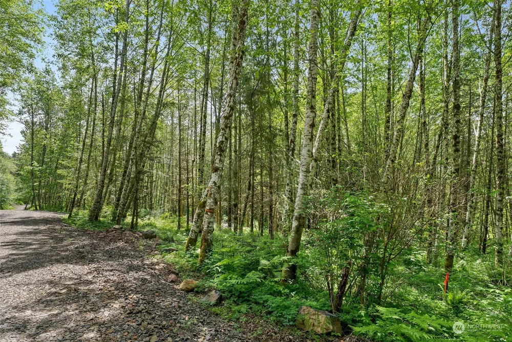 178 Owl Creek Lane Morton, WA 98356