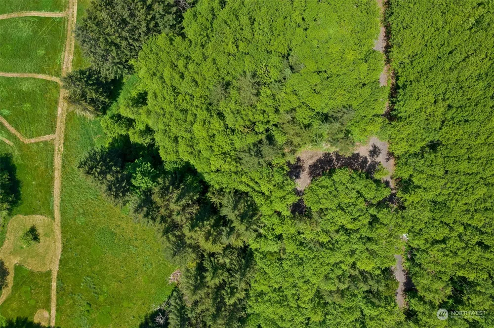 178 Owl Creek Lane Morton, WA 98356