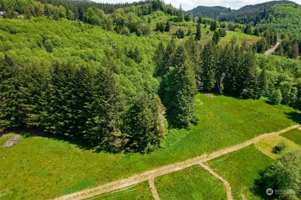 178 Owl Creek Lane Morton, WA 98356