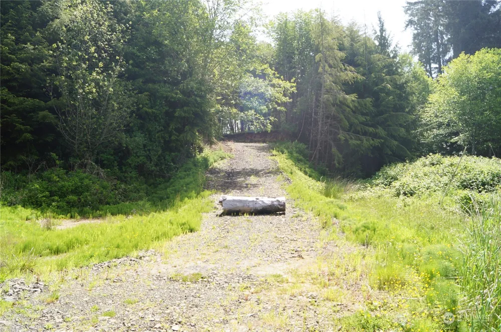 2724 State Route 109 Ocean City, WA 98569