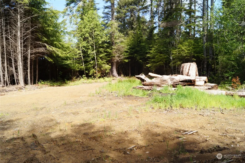 2724 State Route 109 Ocean City, WA 98569