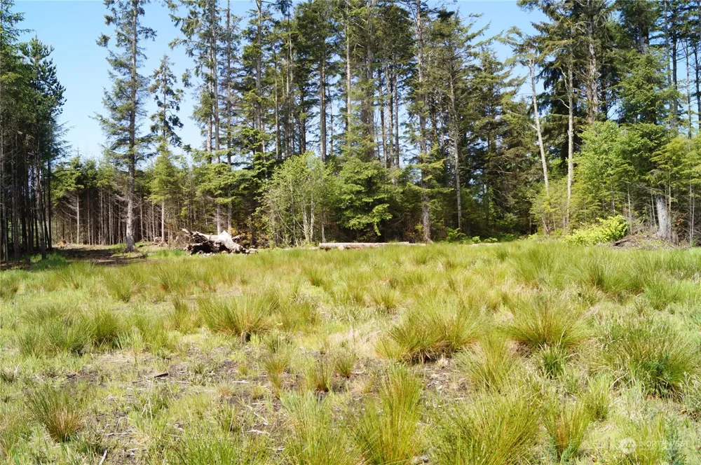 2724 State Route 109 Ocean City, WA 98569