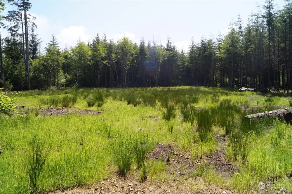 2724 State Route 109 Ocean City, WA 98569