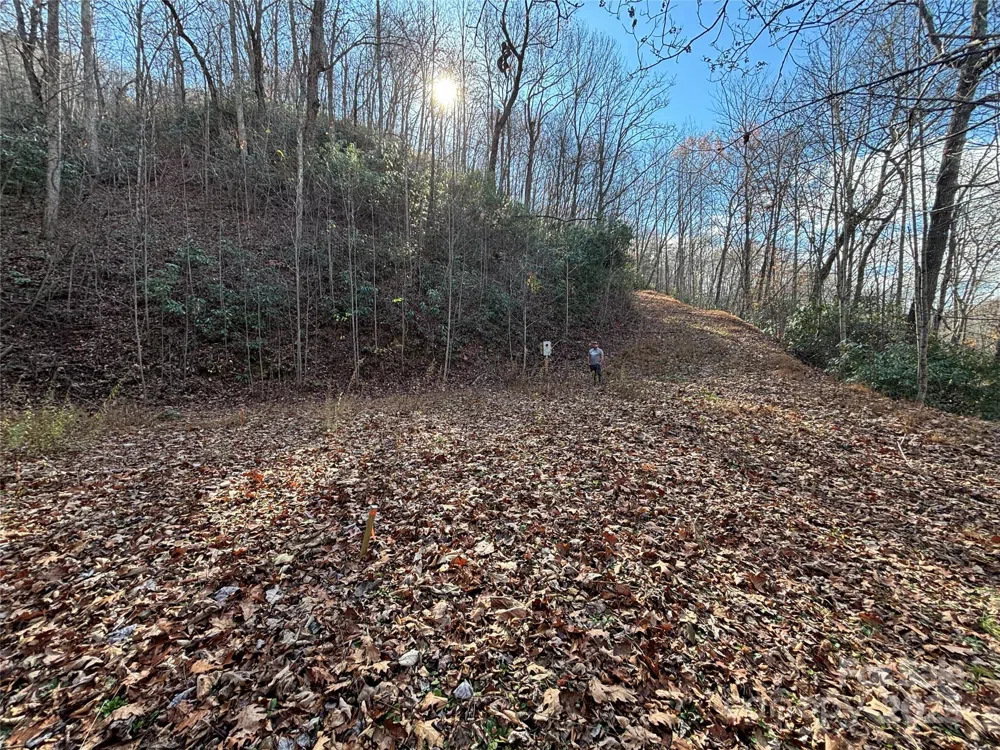 OFF Houston Farm Road Bryson City, NC 28713