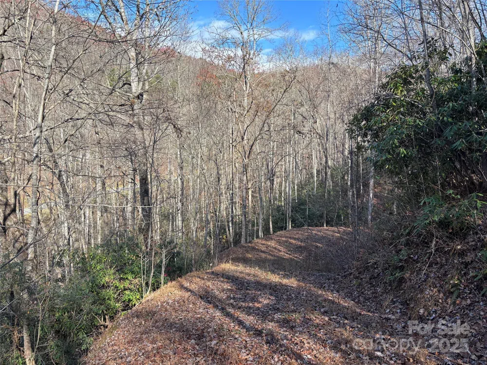 OFF Houston Farm Road Bryson City, NC 28713