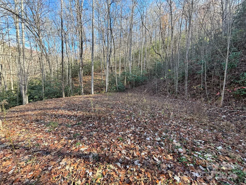 OFF Houston Farm Road Bryson City, NC 28713