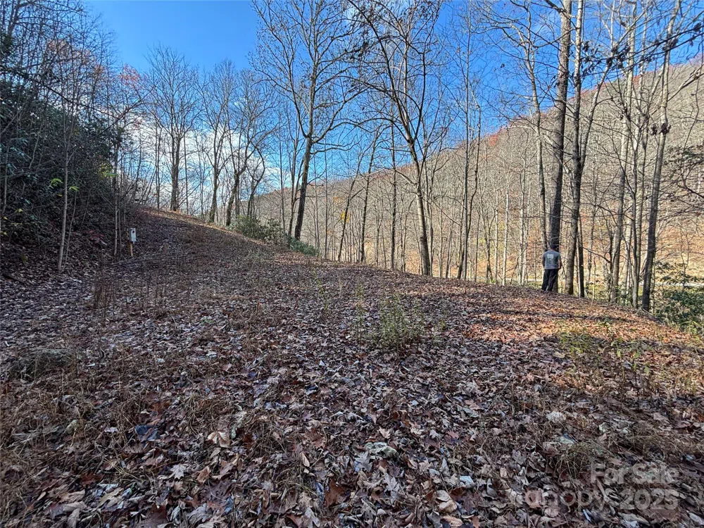 OFF Houston Farm Road Bryson City, NC 28713
