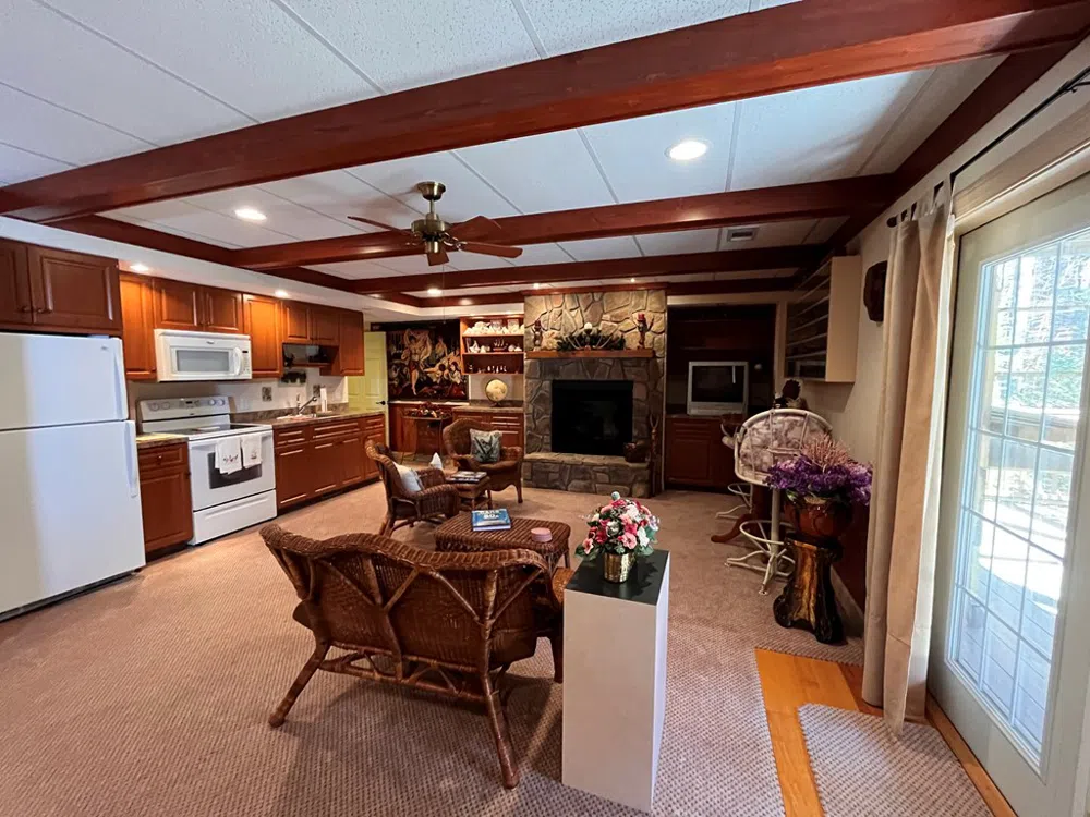199 Orlon Drive East Ellijay, GA 30540