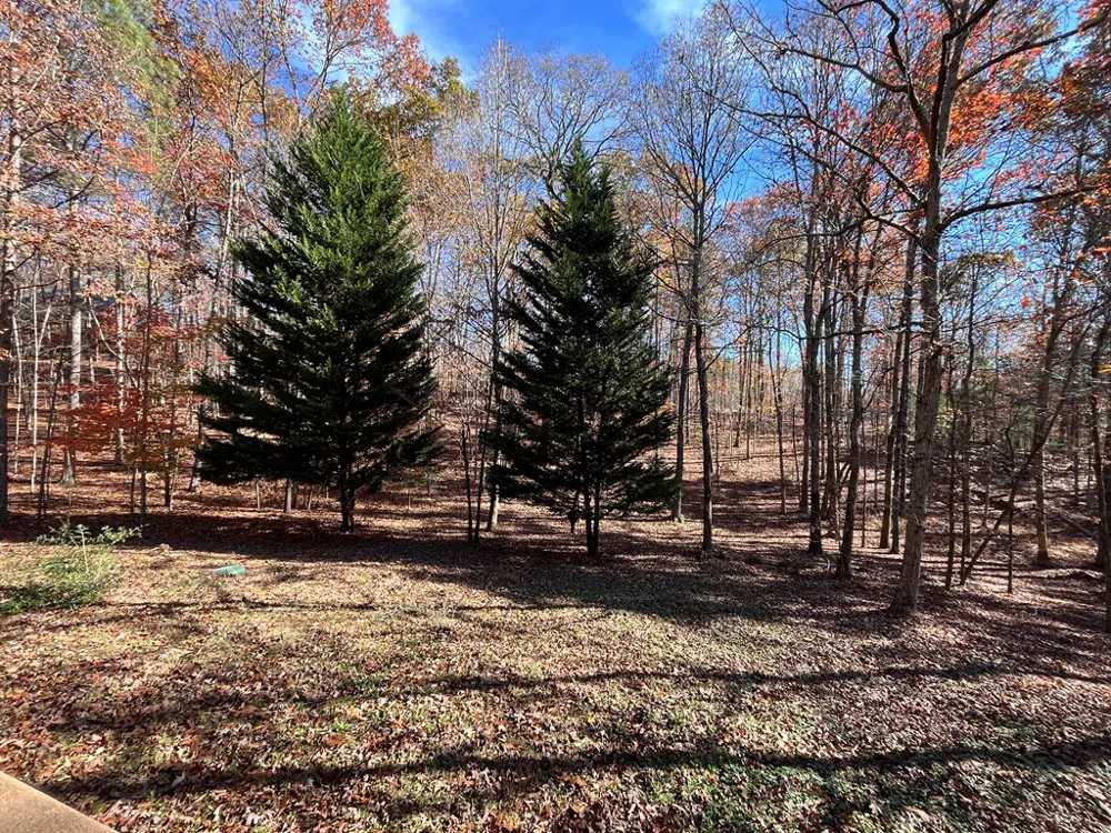 199 Orlon Drive East Ellijay, GA 30540