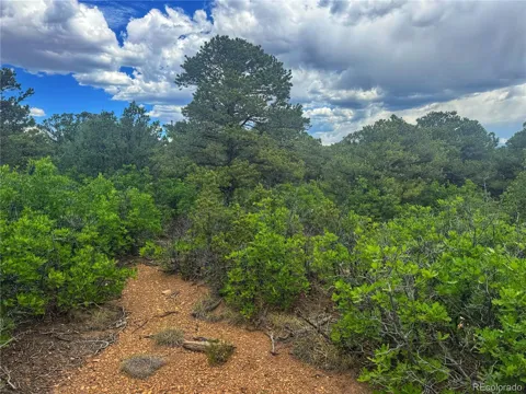 106 Colorado Land & Grazing