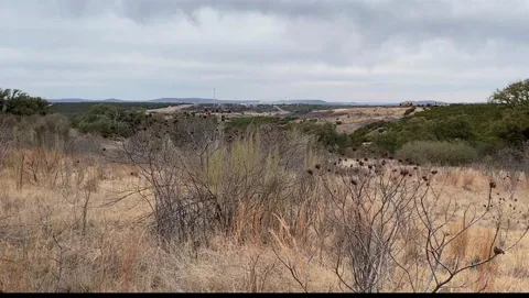 Shooting Star Court