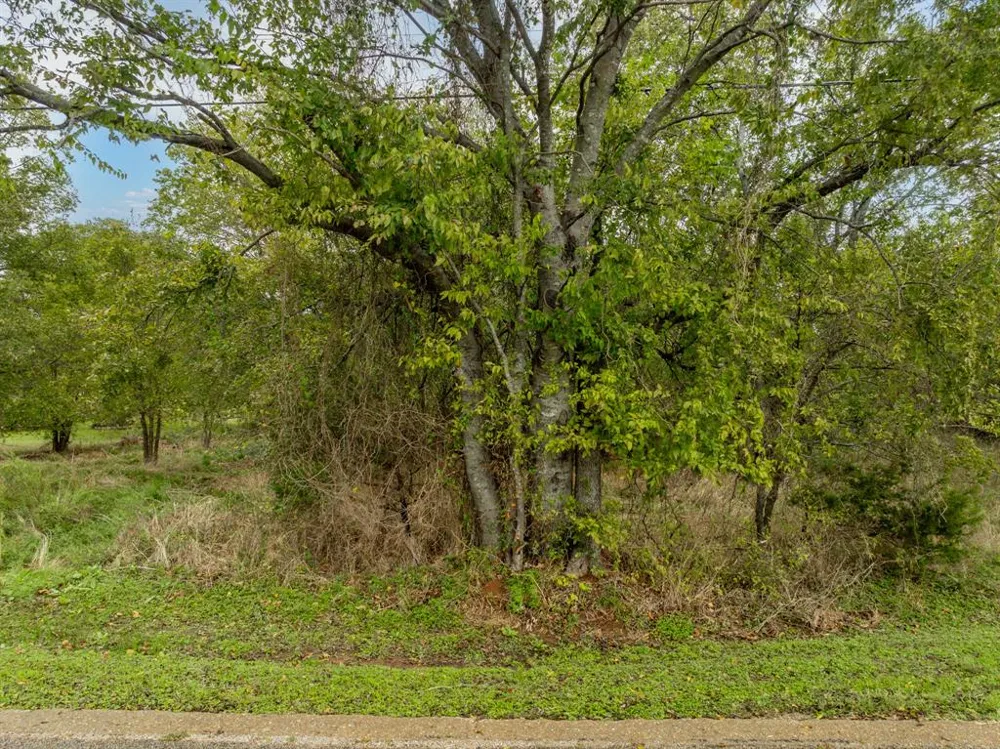 27070 Stonewood Drive Whitney, TX 76692