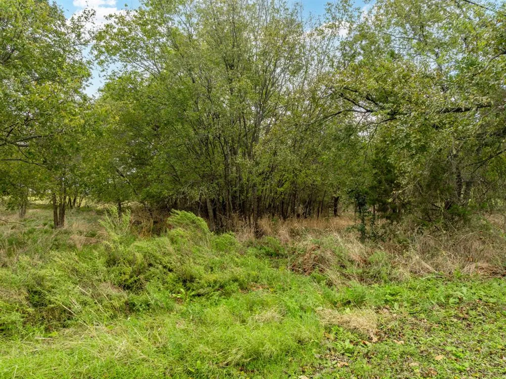 27070 Stonewood Drive Whitney, TX 76692