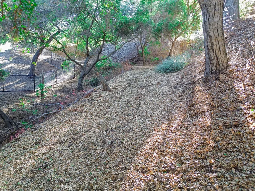 Live Oak Canyon Road La Verne, CA 91750