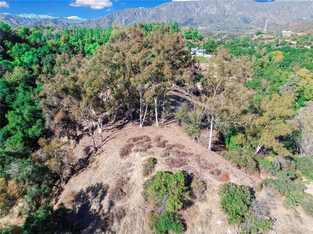 Live Oak Canyon Road La Verne, CA 91750