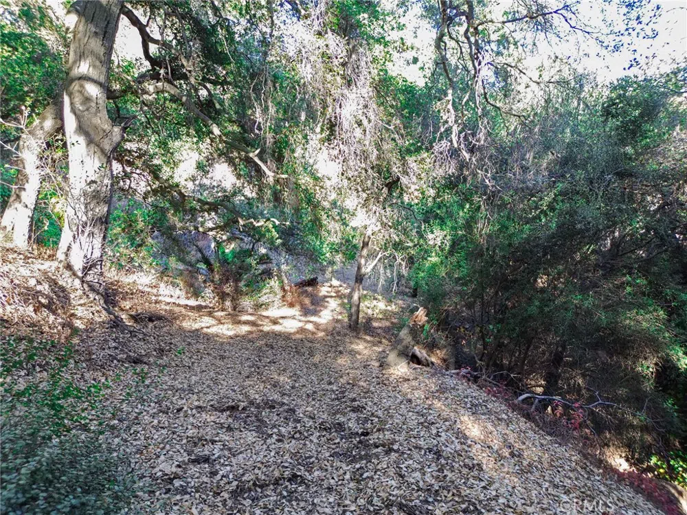 Live Oak Canyon Road La Verne, CA 91750