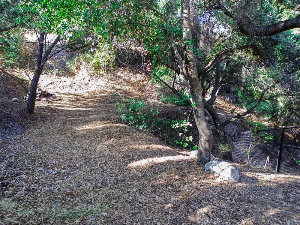 Live Oak Canyon Road La Verne, CA 91750