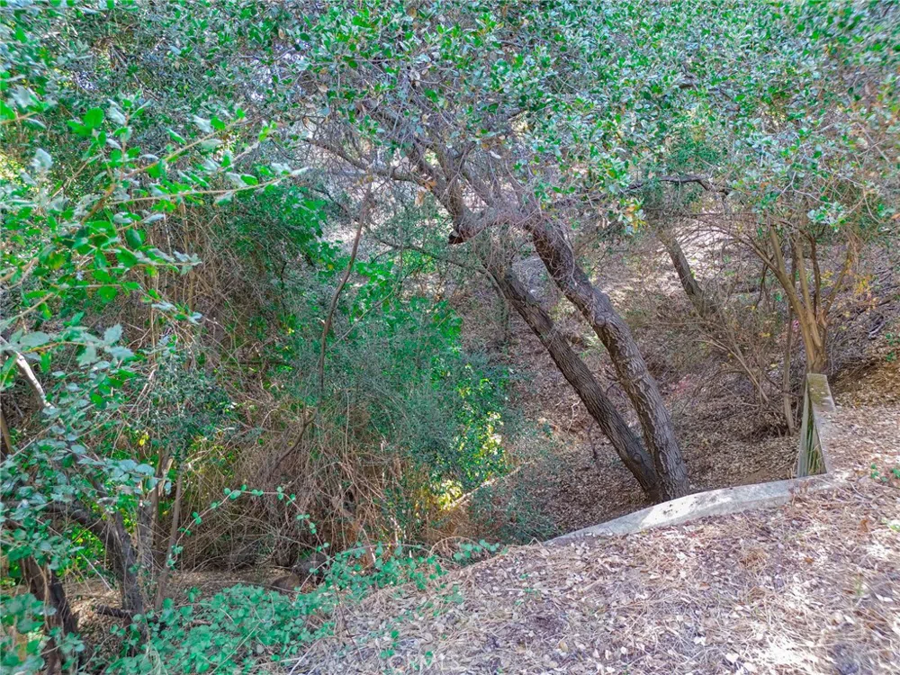 Live Oak Canyon Road La Verne, CA 91750
